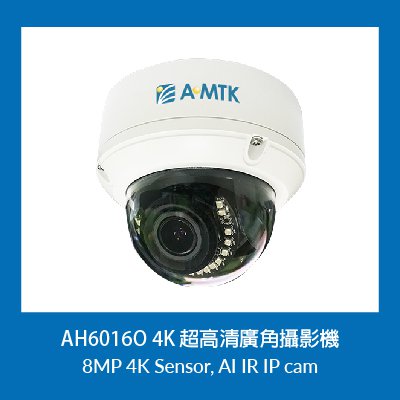 Single-Camera Multi-Space Occupancy Detection for Large Outdoor Parking Lots