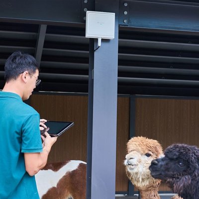 Smart Networking and AI Surveillance Integration Solution for Tourist Farms