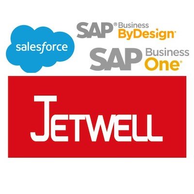 CRM/ERP solutions: Consultant and training services, Systems integration
